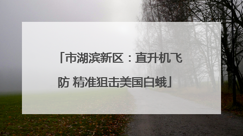 市湖滨新区：直升机飞防 精准狙击美国白蛾