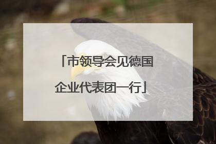市领导会见德国企业代表团一行