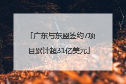 广东与东盟签约7项目累计超31亿美元