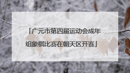广元市第四届运动会成年组象棋比赛在朝天区开赛
