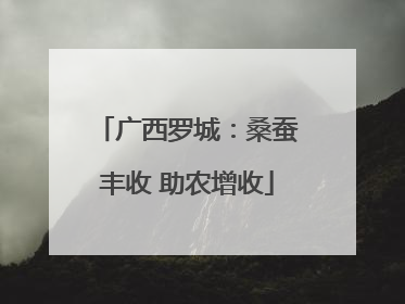 广西罗城：桑蚕丰收 助农增收