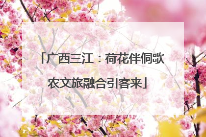 广西三江：荷花伴侗歌 农文旅融合引客来