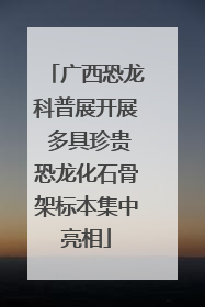 广西恐龙科普展开展 多具珍贵恐龙化石骨架标本集中亮相