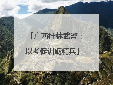 广西桂林武警：以考促训砺精兵