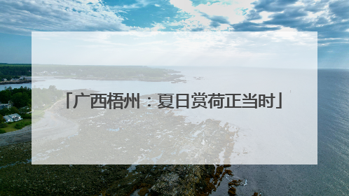 广西梧州：夏日赏荷正当时