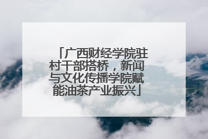 广西财经学院驻村干部搭桥，新闻与文化传播学院赋能油茶产业振兴