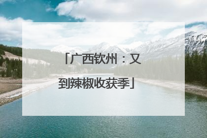 广西钦州：又到辣椒收获季