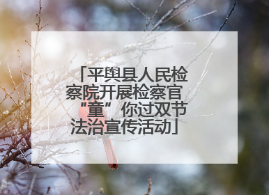 平舆县人民检察院开展检察官“童”你过双节法治宣传活动