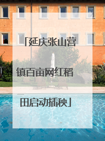 延庆张山营镇百亩网红稻田启动插秧