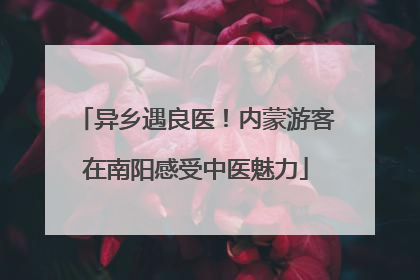 异乡遇良医！内蒙游客在南阳感受中医魅力