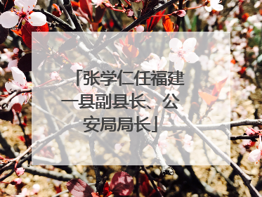 张学仁任福建一县副县长、公安局局长