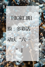 张家口阳原：多彩活动庆“六一”