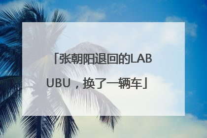 张朝阳退回的LABUBU，换了一辆车