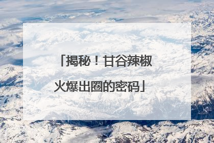 揭秘！甘谷辣椒火爆出圈的密码