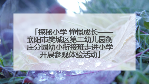 探秘小学 憧憬成长——襄阳市樊城区第二幼儿园衡庄分园幼小衔接班走进小学开展参观体验活动