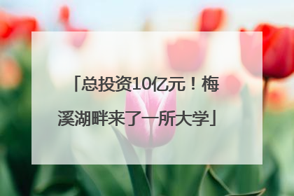 总投资10亿元！梅溪湖畔来了一所大学