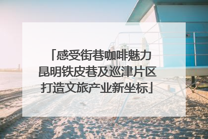 感受街巷咖啡魅力 昆明铁皮巷及巡津片区打造文旅产业新坐标