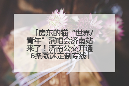 房东的猫“世界/青年”演唱会济南站来了！济南公交开通6条歌迷定制专线