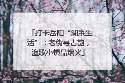 打卡岳阳“湖系生活”：老街寻古韵，渔歌小镇品烟火