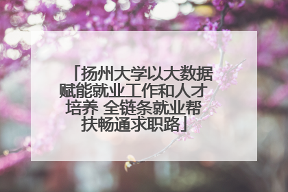 扬州大学以大数据赋能就业工作和人才培养 全链条就业帮扶畅通求职路