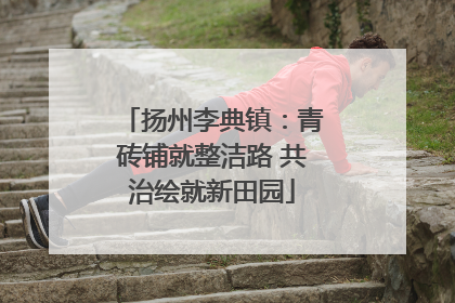 扬州李典镇：青砖铺就整洁路 共治绘就新田园