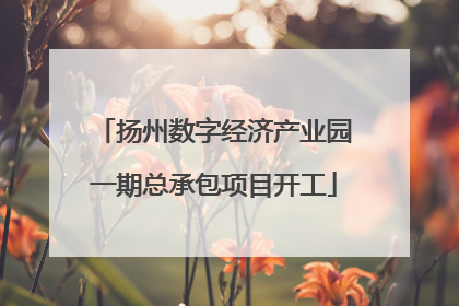 扬州数字经济产业园一期总承包项目开工