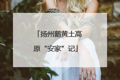扬州鹅黄土高原“安家”记
