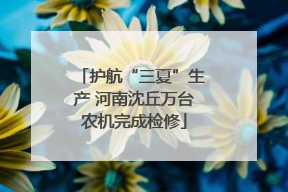 护航“三夏”生产 河南沈丘万台农机完成检修