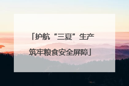 护航“三夏”生产 筑牢粮食安全屏障