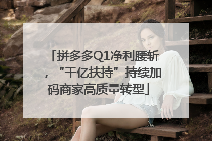拼多多Q1净利腰斩，“千亿扶持”持续加码商家高质量转型