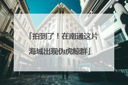 拍到了！在南通这片海域出现伪虎鲸群