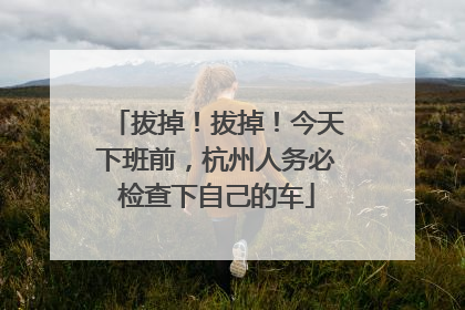 拔掉！拔掉！今天下班前，杭州人务必检查下自己的车