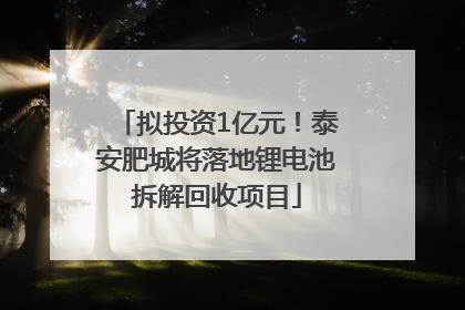 拟投资1亿元！泰安肥城将落地锂电池拆解回收项目