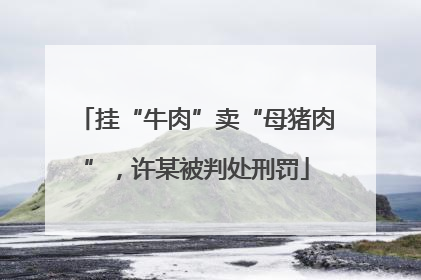 挂“牛肉”卖“母猪肉”，许某被判处刑罚