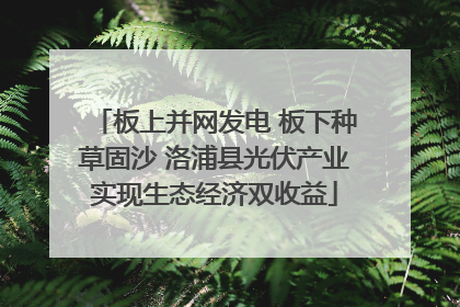 板上并网发电 板下种草固沙 洛浦县光伏产业实现生态经济双收益
