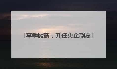 李季履新，升任央企副总