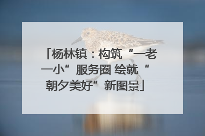 杨林镇：构筑“一老一小”服务圈 绘就“朝夕美好”新图景