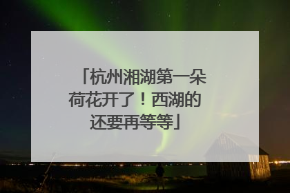 杭州湘湖第一朵荷花开了！西湖的还要再等等