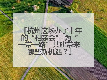 杭州这场办了十年的“相亲会” 为“一带一路”共建带来哪些新机遇？