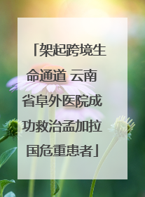 架起跨境生命通道 云南省阜外医院成功救治孟加拉国危重患者