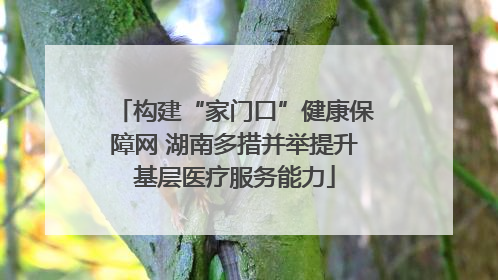 构建“家门口”健康保障网 湖南多措并举提升基层医疗服务能力