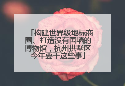 构建世界级地标商圈、打造没有围墙的博物馆，杭州拱墅区今年要干这些事