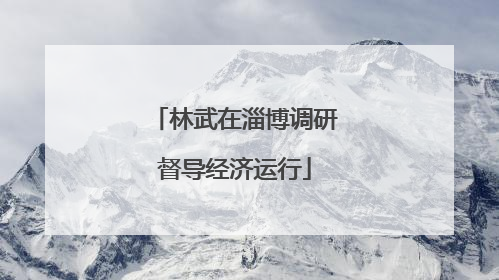 林武在淄博调研督导经济运行