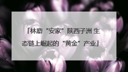 林麝“安家”陕西子洲 生态链上崛起的“黄金”产业