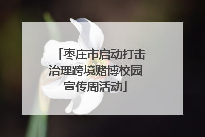 枣庄市启动打击治理跨境赌博校园宣传周活动