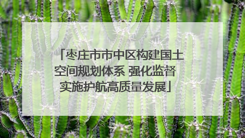 枣庄市市中区构建国土空间规划体系 强化监督实施护航高质量发展