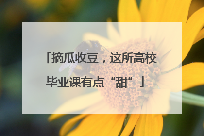 摘瓜收豆，这所高校毕业课有点“甜”