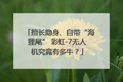 擅长隐身、自带“海狸尾” 彩虹-7无人机究竟有多牛？