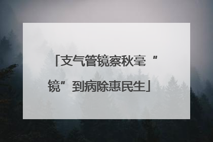 支气管镜察秋毫“镜”到病除惠民生