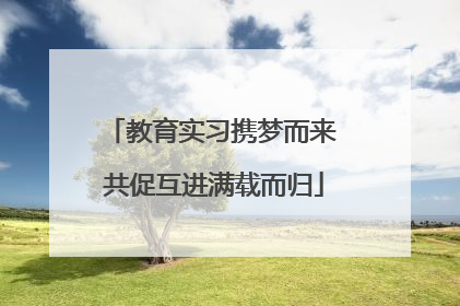 教育实习携梦而来 共促互进满载而归